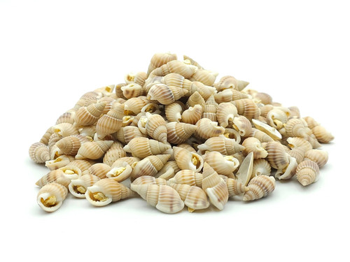 Futterschnecken 5 kg - futterschnecken,