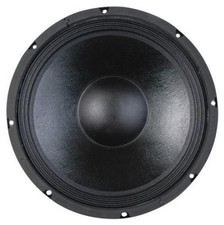 NEW 12" Woofer Speaker Guitar