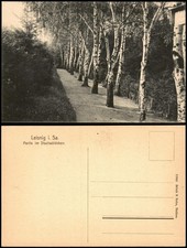 Ansichtskarte Leisnig Partie