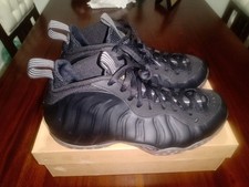 Nike Foamposite One Stealth