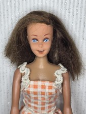 Casey Twiggy Barbie Clone Puppe 70er 80er Vintage