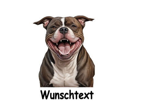 American bullterrier - american,