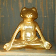 Yoga frosch relax feng shui - frosch,