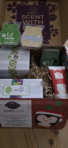 Scentsy whiff box nov 2023 - whiff,