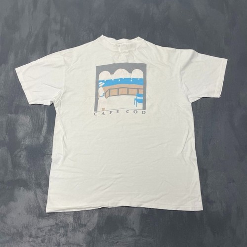 Vintage cape cod - cod, graphic