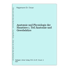 Anatomie und Physiologie der