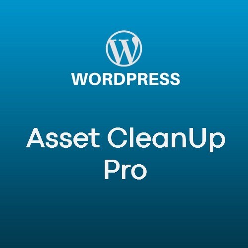 Asset cleanup pro - pro, –