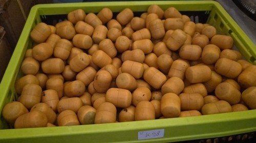 150 eier bzw gelbe ü - Ü-eier, Ü-ei