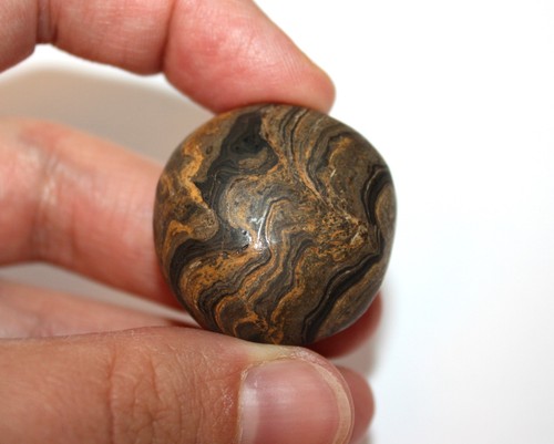 Trommelstein stromatolith - trommelstein,