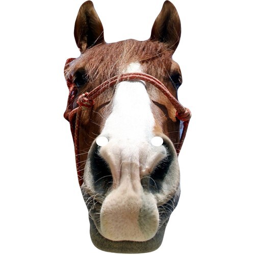 Pferd tier promi - pferd,