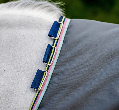 Horseware amigo bravo 12 - amigo®,