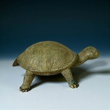 Bronze Erdschildkröte