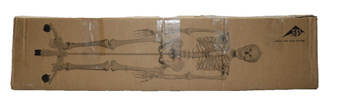 Scientific anatomie - 3b,