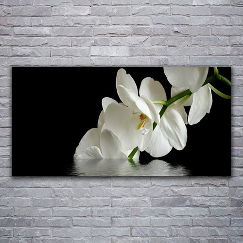 Acrylglasbilder wandbilder - acrylglasbilder,