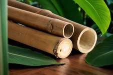 Bambusrohr Moso - Bambusstange