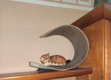 Bananenblatt - Länge 50