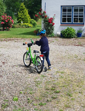 Kinder Fahrrad Puky 12 Zoll kiwi grün