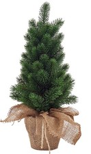 Kleine Kiefer künstlich mit