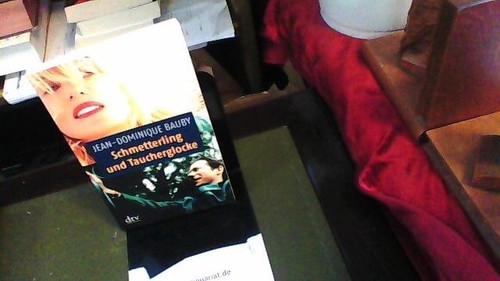 Schmetterling und