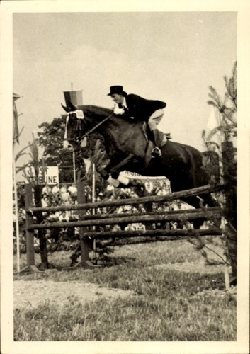Foto reitturnier - foto,