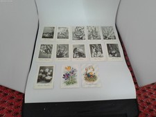 alte schwarz-weiß  & farbige