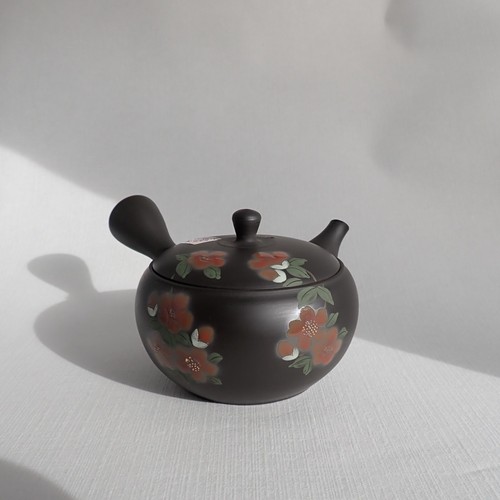 Tokoname kyusu teekanne - kyusu,