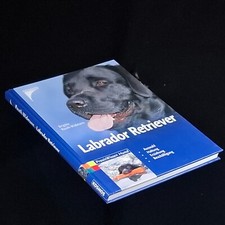 Labrador Retriever. Auswahl