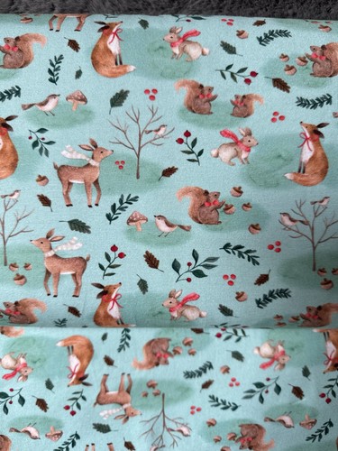 Baumwolljersey mint mit - mint,