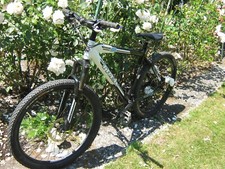 Mountainbike Trek 6000 Series 6 Alpha Aulminum EST TREK 1976 Gebraucht Gutemzust