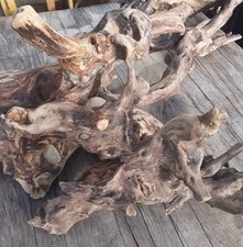 Rares XL Treibholz Schwemmholz ? 78 cm Skulptur Deko Terrarium Sukkulenten 