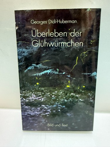 Georges didi huberman - didi-huberman, /