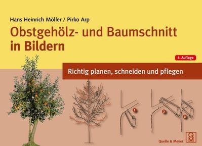 Obstgehölz und baumschnitt - und,