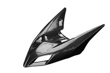 Carbon Frontverkleidung für