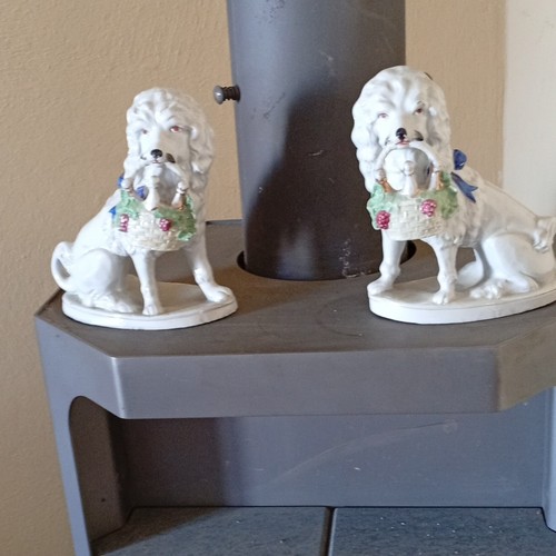 Zwei england staffordshire - zwei,