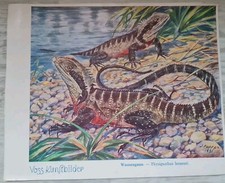 VOSS Margarine Kunstbilder