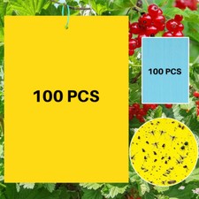 100X Gelbtafeln Gelbsticker Gelbtafel Falle Insektenfalle Trauermücken Kleber DE