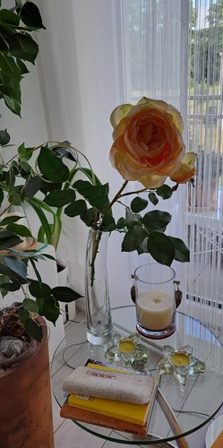Schmale glas vase aus - schmale, glas-vase