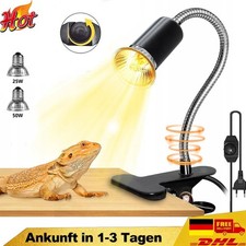 Schildkröten Wärmelampe