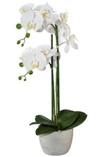 Kunstblume PHALENOPSIS. Künstliche Orchidee ca 58cm weiß WEISS. im ZEMENTTOPF