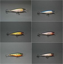 Rapala Wobbler BX-Minnow 10cm