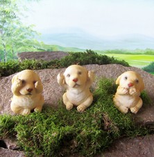 Labrador Welpen nicht sehen