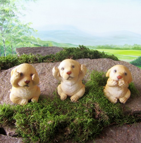 Labrador welpen nicht sehen - welpen,