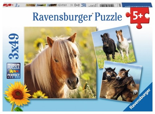 Ravensburger puzzle - ravensburger,