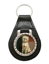 Westie West Highland Terrier