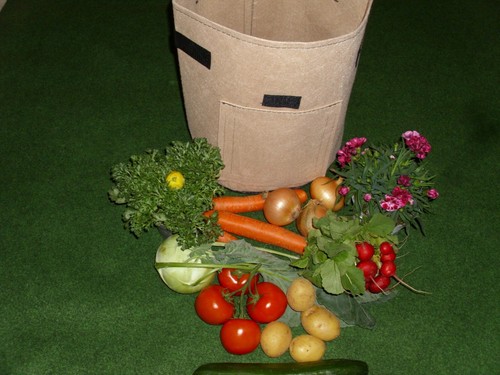 Pflanzcontainer pflanzsack - pflanzcontainer,