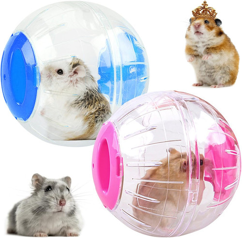 Stück hamsterball hamster - stück,