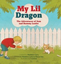 My Lil Dragon: The Adventures