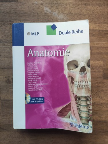 Anatomie mlp duale reihe - mlp,