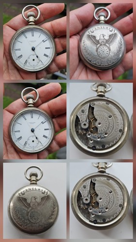 Große century adler - century,