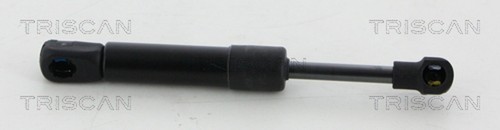 Triscan gasfeder motorhaube - 2x,